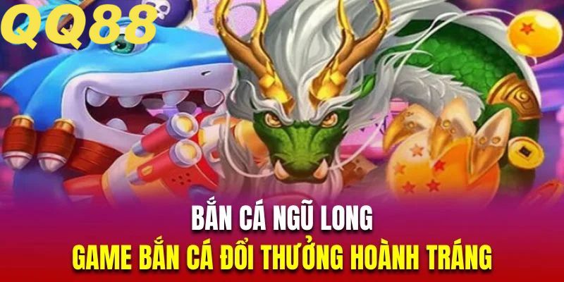 Khám phá luật lệ, quy định 5 Dragon Fishing